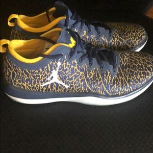 Jordan trainer 1s Michigan edition